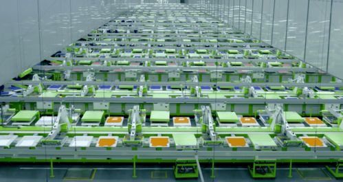 馬建榮與申洲國際 以熱愛為引擎，智造全球服飾“世界工廠”