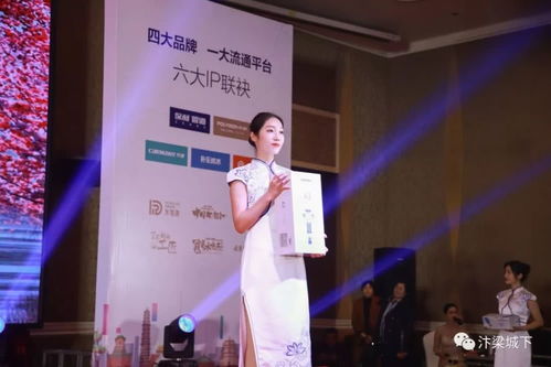 唐風雅韻促行業發展 河南一唐文化傳媒傾情助力新春盛會，開啟文化藝術交流新篇章